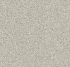 Линолеум Forbo Bulletin Board 2206 oyster shell фото 1 | FLOORDEALER